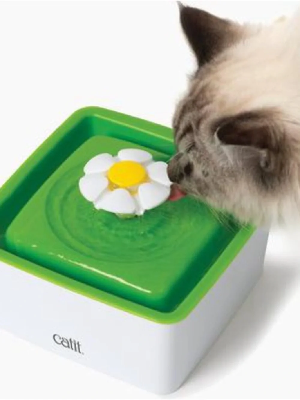 Catit Flower Fountain - Gently used (had for 3 weeks but my cats don’t like it)